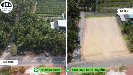 ถมซีแลค คุณนก จอมปลวก